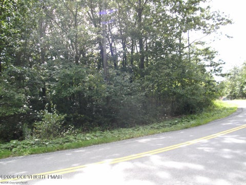 Vacant Land For Sale - Brunswick Drive<br/> Mount Pocono, PA 18344