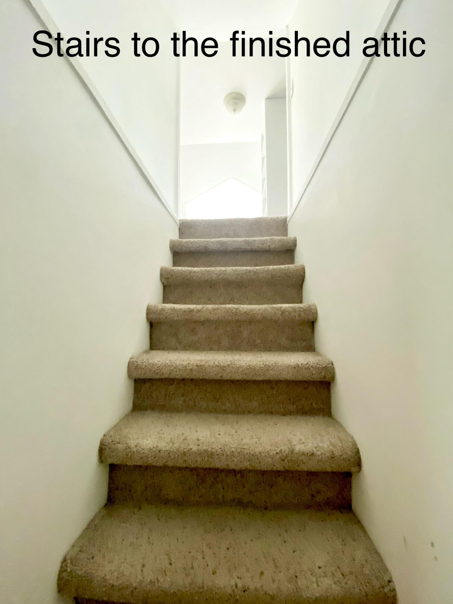 244 Learn Road, Tannersville, Pennsylvania image 26