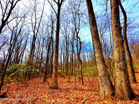 Featured picture for the property PM-113935