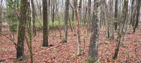 Vacant Land For Sale - A385 Sunset Drive<br/> Jim Thorpe, PA 18229