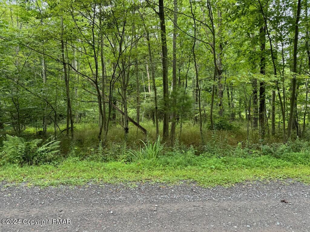 Rocky Swamp Road, Pocono Lake, Pennsylvania image 1