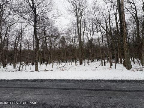 Vacant Land For Sale - 8 Shadylane Drive<br/> Newfoundland, PA 18445
