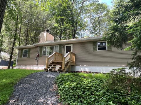 1553 Locust Lane Pocono Lake PA 18347