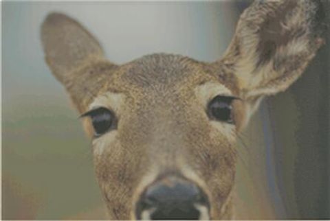 123 EAGLES VIEW Drive Clifton Township PA 18424