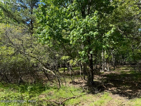 Vacant Land For Sale - LOT EV1656 Maccauley Road<br/> Albrightsville, PA 18210