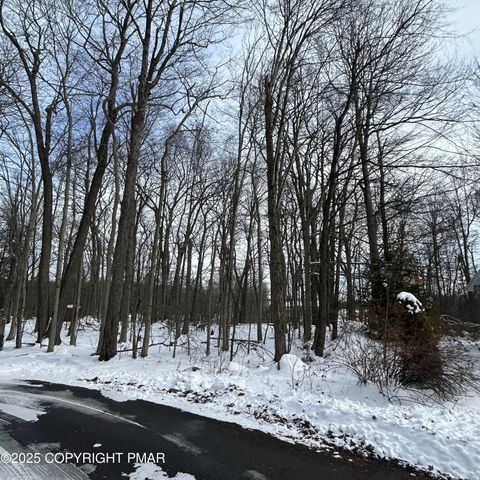 Lot 87 Red Maple Lane Coolbaugh Township PA 18466