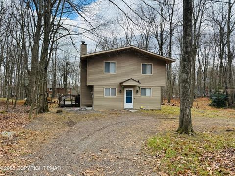 162 Selig Road Pocono Lake PA 18347