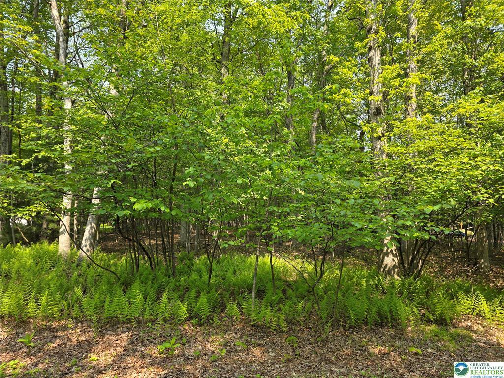 163 Piney Woods Drive, Jim Thorpe, Pennsylvania image 1