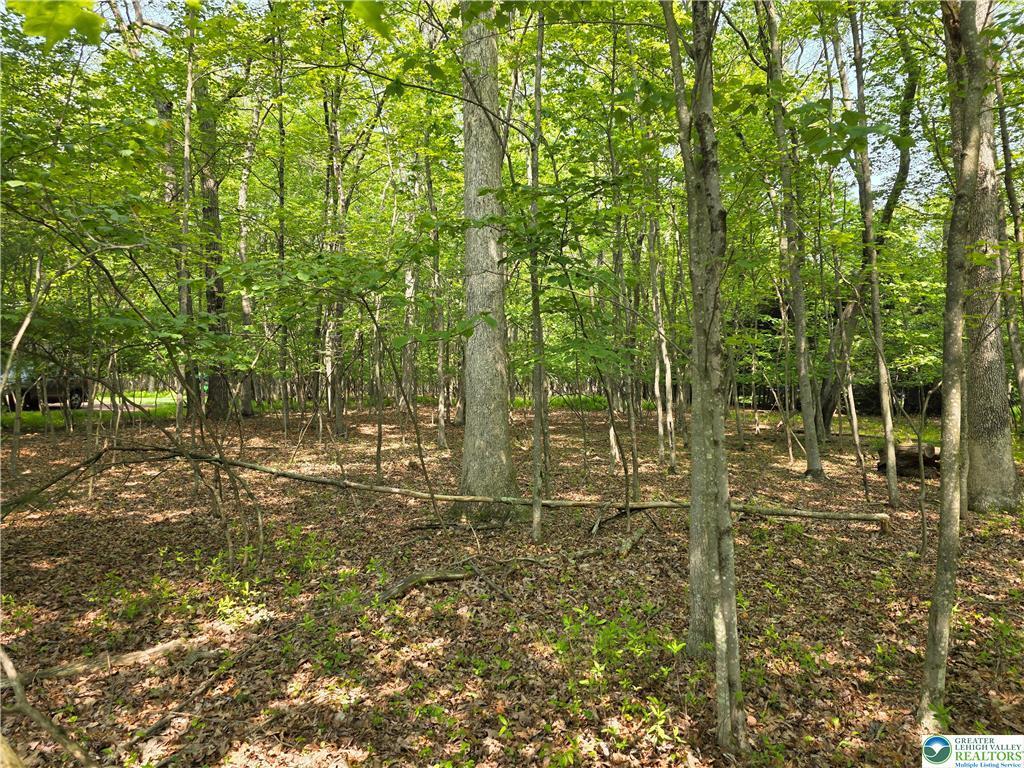 163 Piney Woods Drive, Jim Thorpe, Pennsylvania image 4