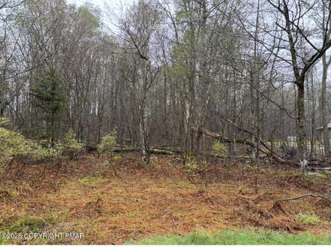 Vacant Land For Sale - LOT 177 Blue Heron Court<br/> Gouldsboro, PA 18424