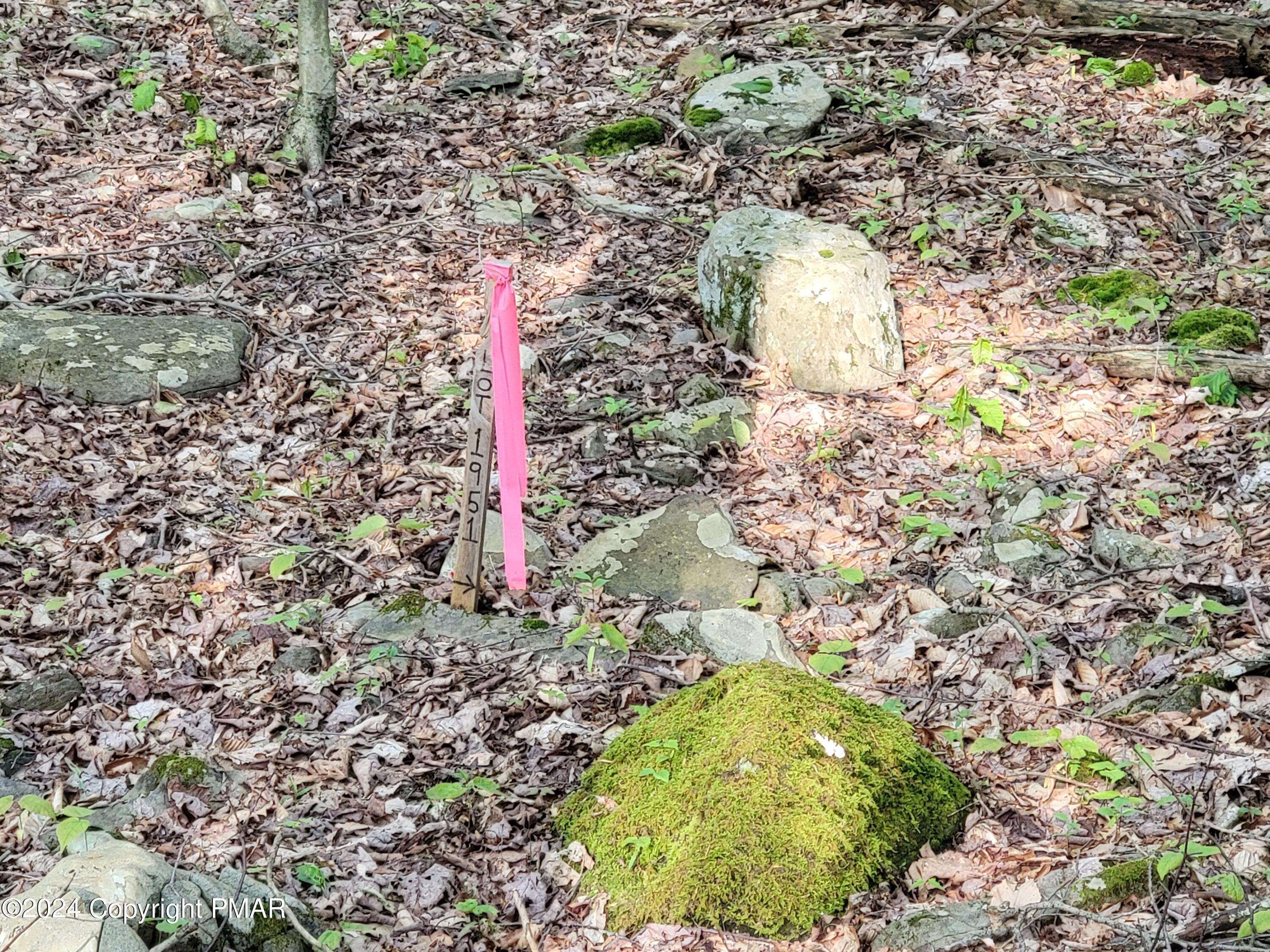 N1951 E Creek View Drive