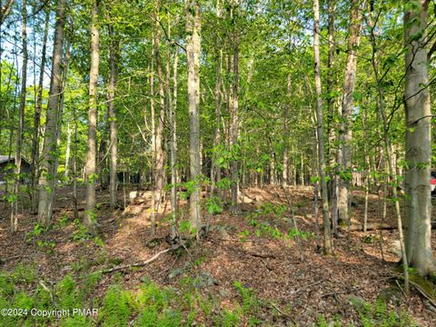 N1951 E Creek View Drive Clifton Township PA 18424