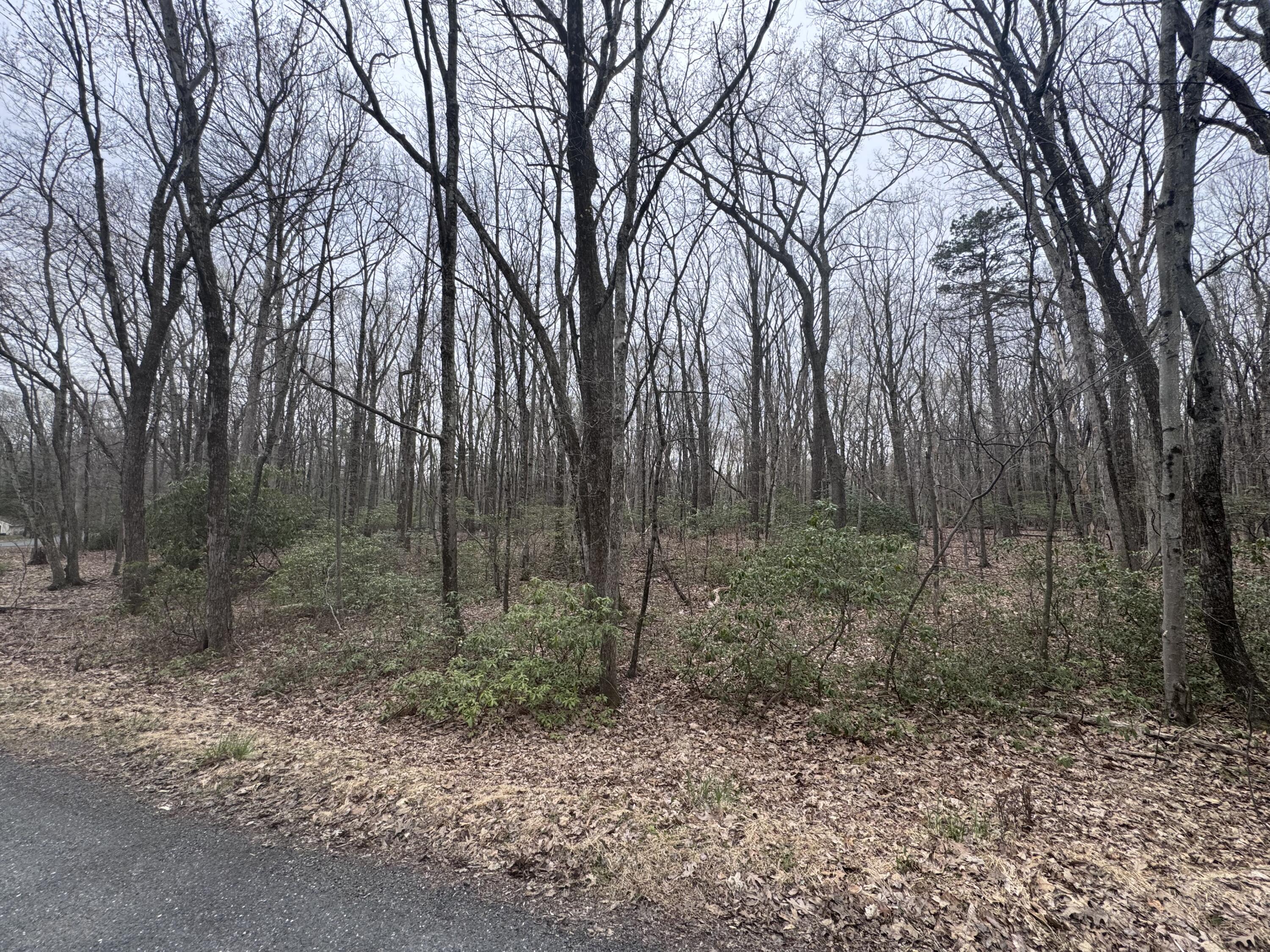 3 Tioga Dr., Kunkletown, Pennsylvania image 3