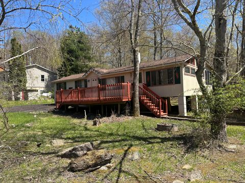 134 Wyalusing Pocono Lake PA 18347