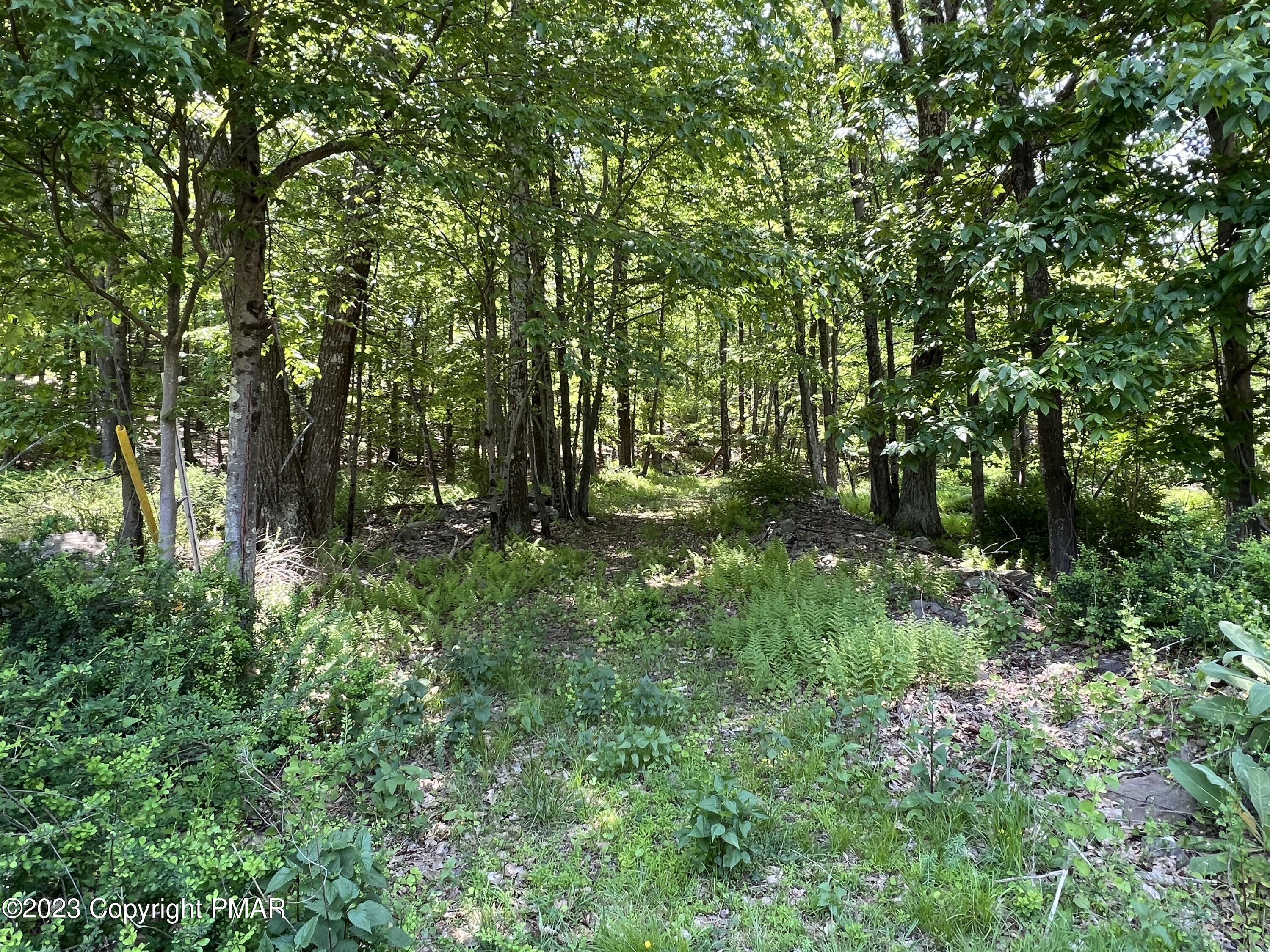 Lot 11 Dyson Road, Swiftwater, Pennsylvania image 1
