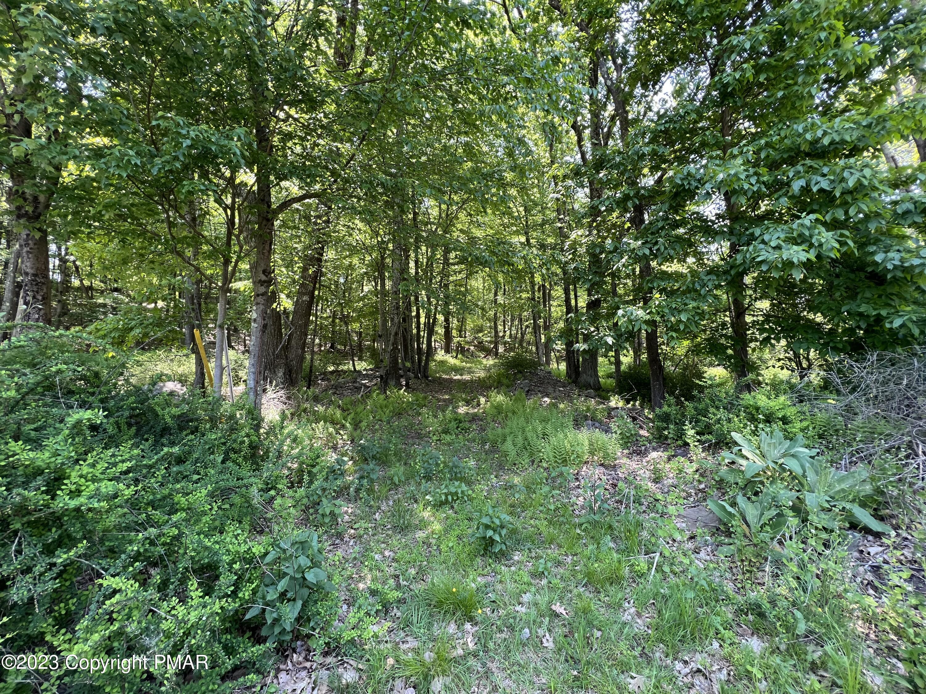 Lot 11 Dyson Road, Swiftwater, Pennsylvania image 2