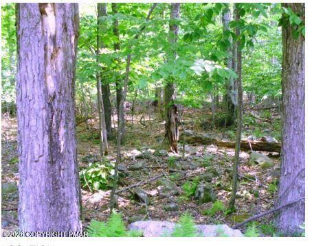 590 Raccoon Trl 590 Trail