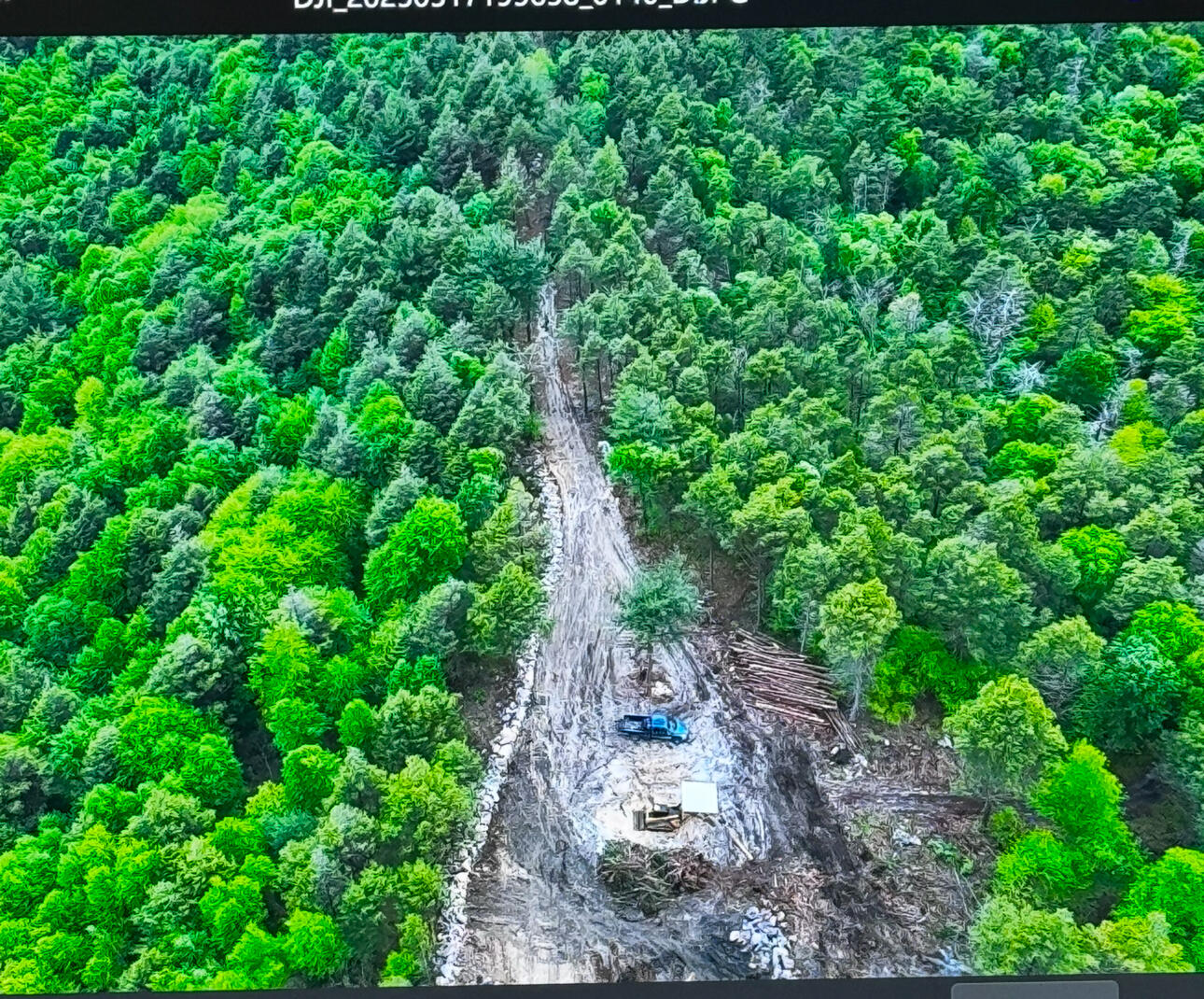 CO Line Forest Dr, Kunkletown, Pennsylvania image 3