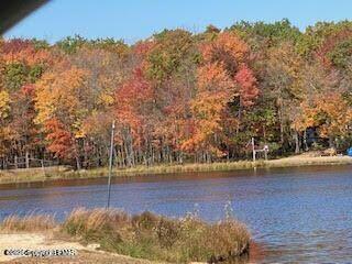 Penn Forest Drive, Albrightsville, Pennsylvania image 14