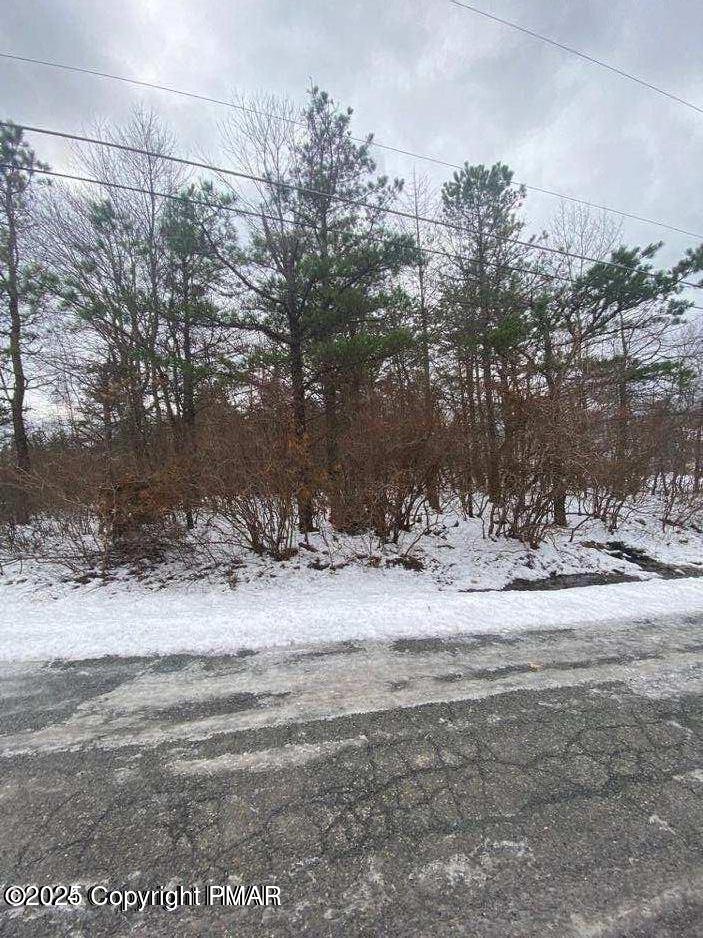 Penn Forest Drive, Albrightsville, Pennsylvania image 17