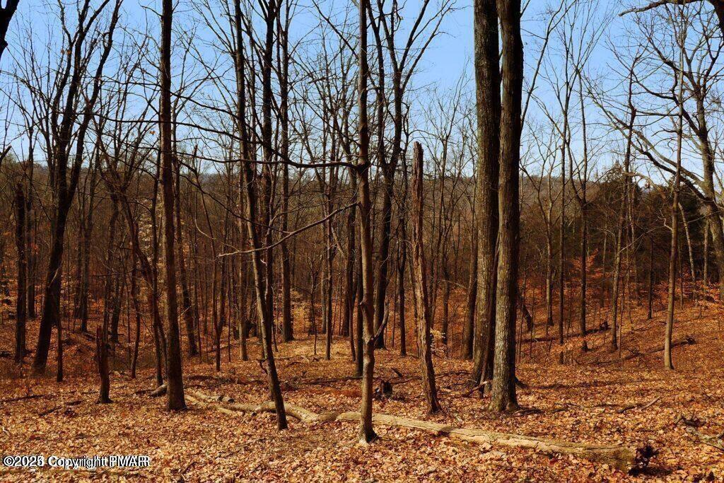 Penn Forest Drive, Albrightsville, Pennsylvania image 1