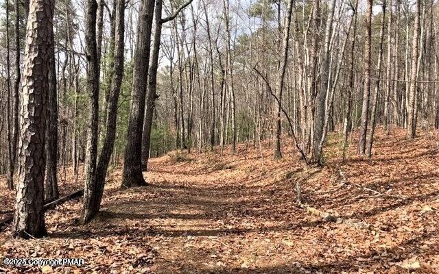 Penn Forest Drive, Albrightsville, Pennsylvania image 7