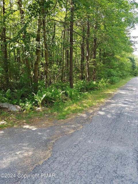 Vacant Land For Sale - N Sycamore And Lauren Drive<br/> Jim Thorpe, PA 18229
