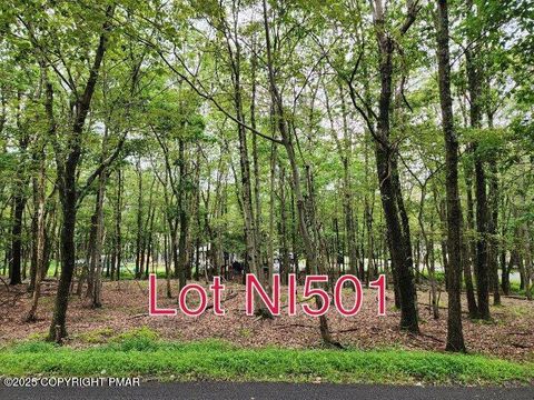Lot NI501 Shawnee Trail & Highpoint Drive Albrightsville PA 18210