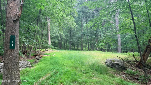 111 LAKE VIEW CIR, HAWLEY, PA 18428 - Image daeff7fbd313d8a888b78e8d56e42afc/601003847