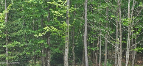 Vacant Land For Sale - Ash Dr 406 Drive<br/> Monroe County, Pocono Summit, PA 18346