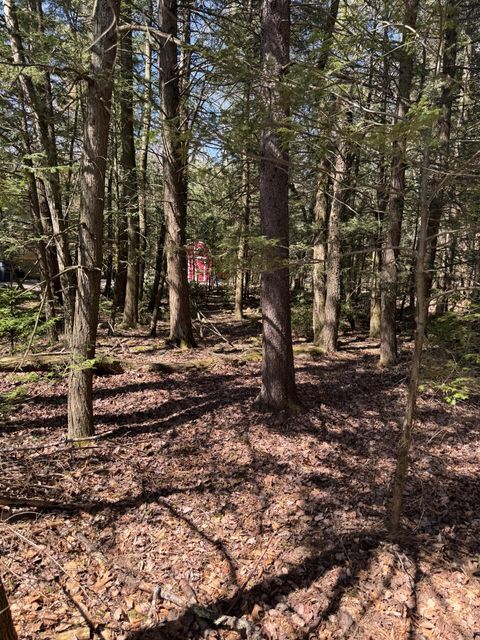 Vacant Land For Sale - 211 Alter Avenue<br/> Pocono Summit, PA 18346