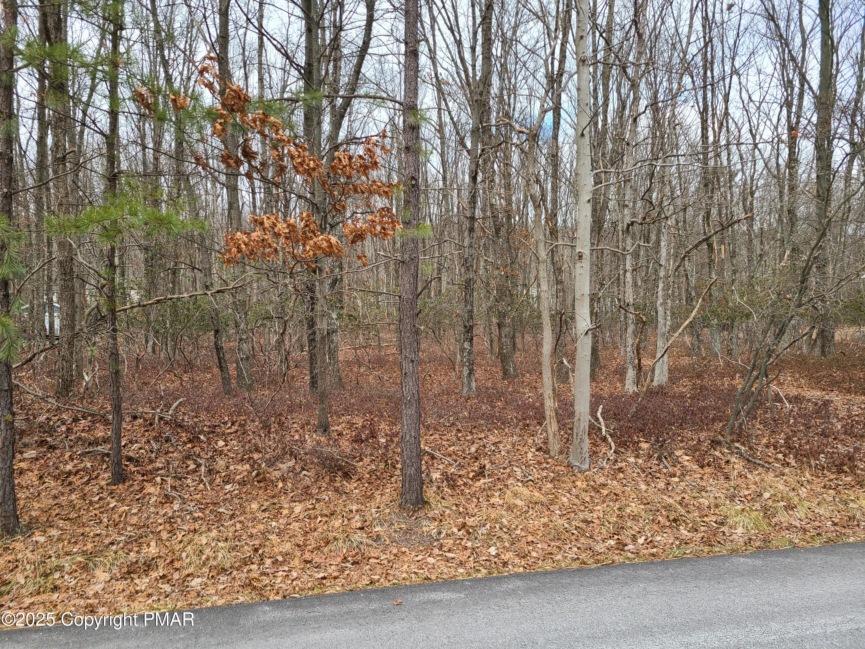 Lot 132 Woodcrest Avenue, Effort, Pennsylvania image 3
