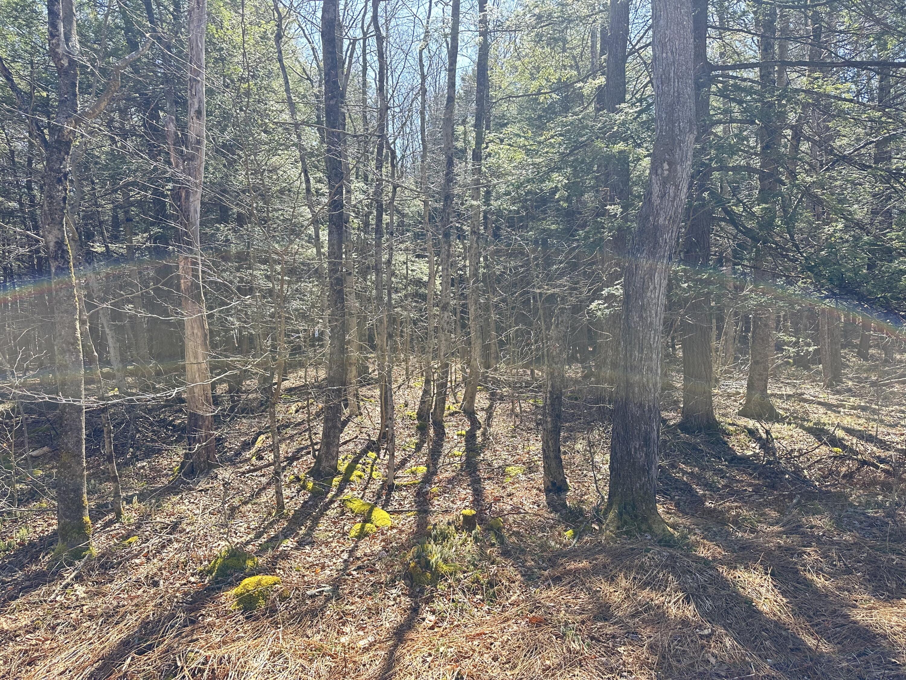 Lots 16-17 N Estates Drive, Pocono Summit, Pennsylvania image 2