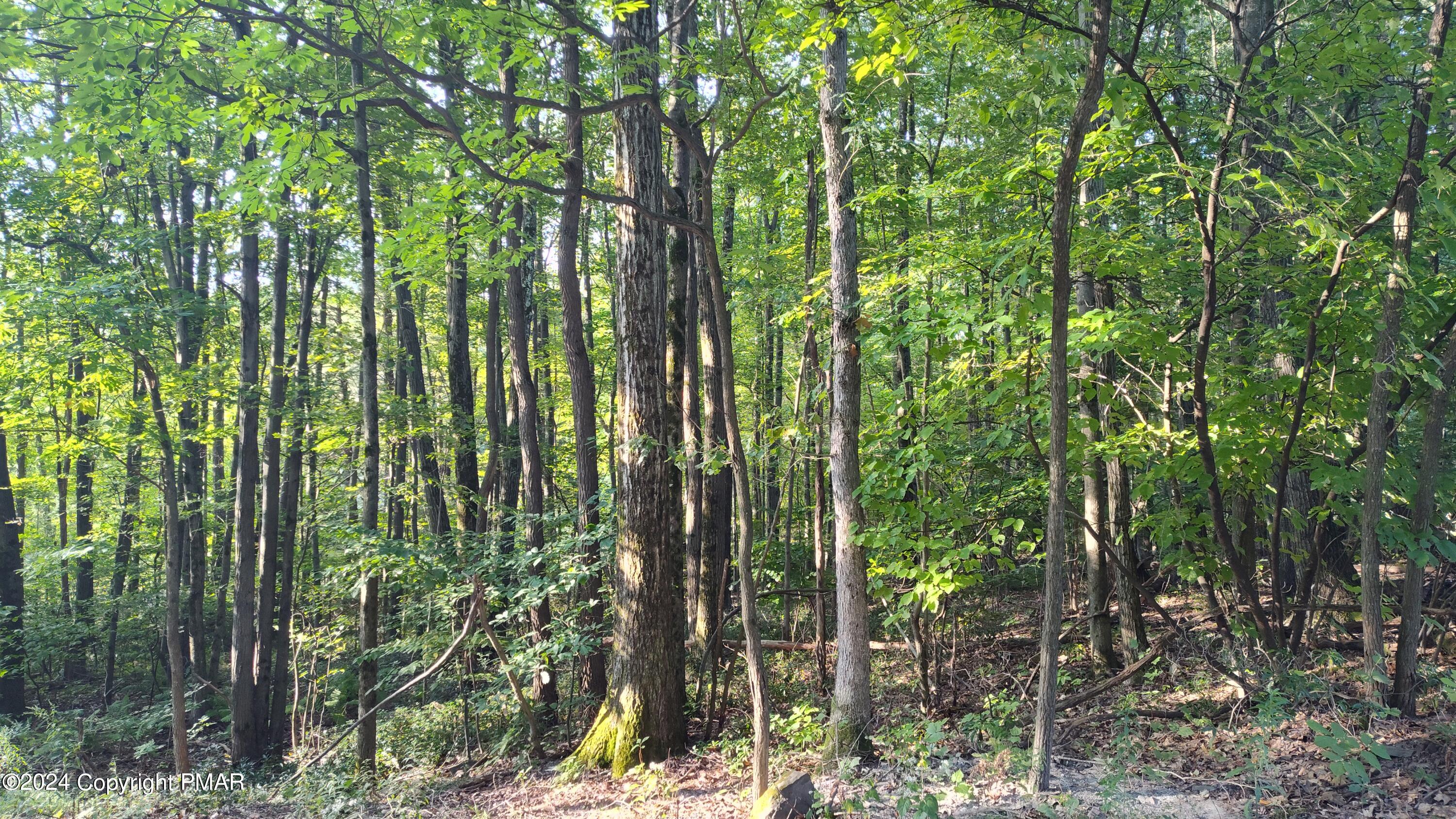 22 Salem View Drive, Waymart, Pennsylvania image 8