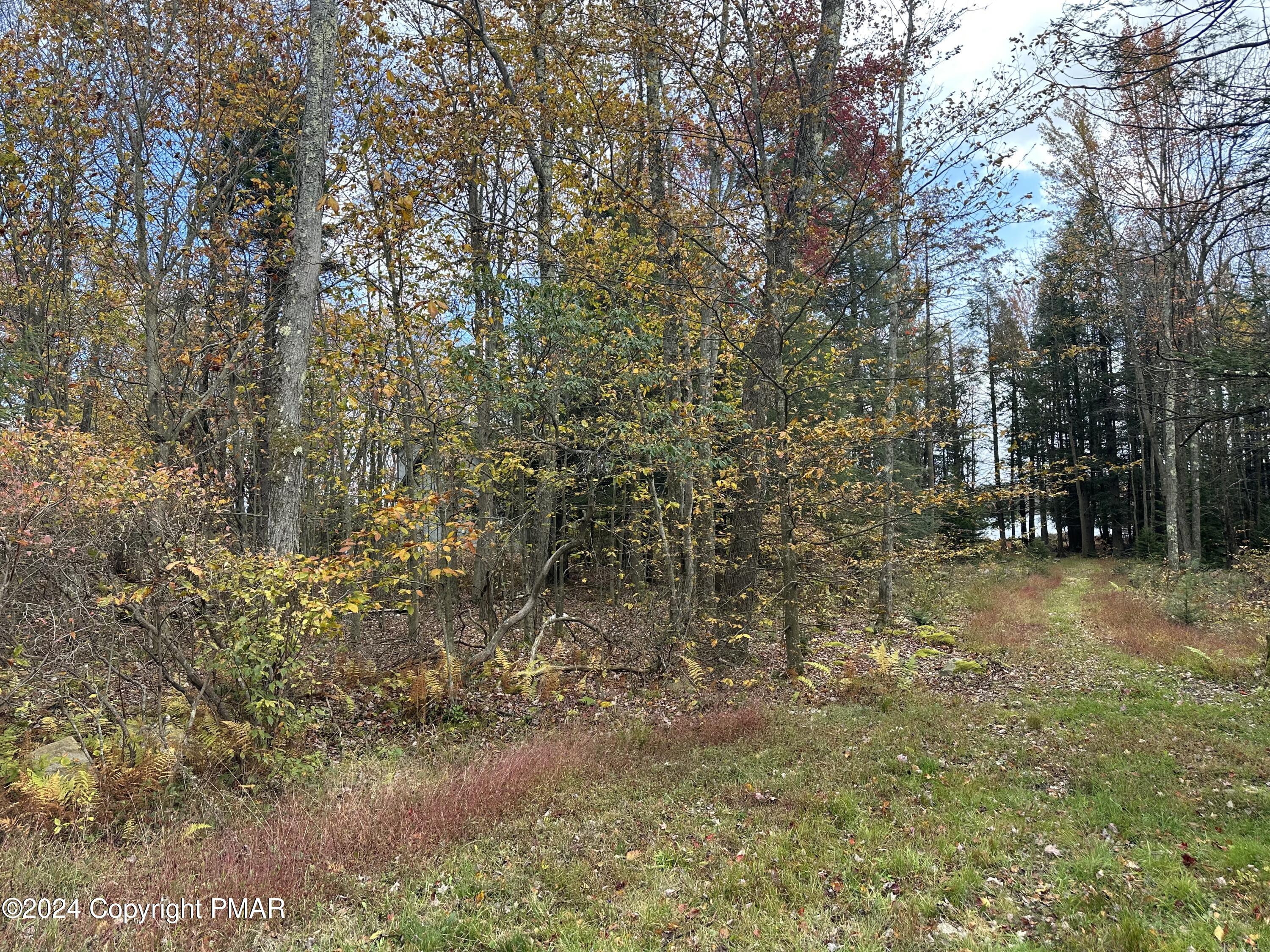 Lot 10 N Estates Drive, Pocono Summit, Pennsylvania image 5