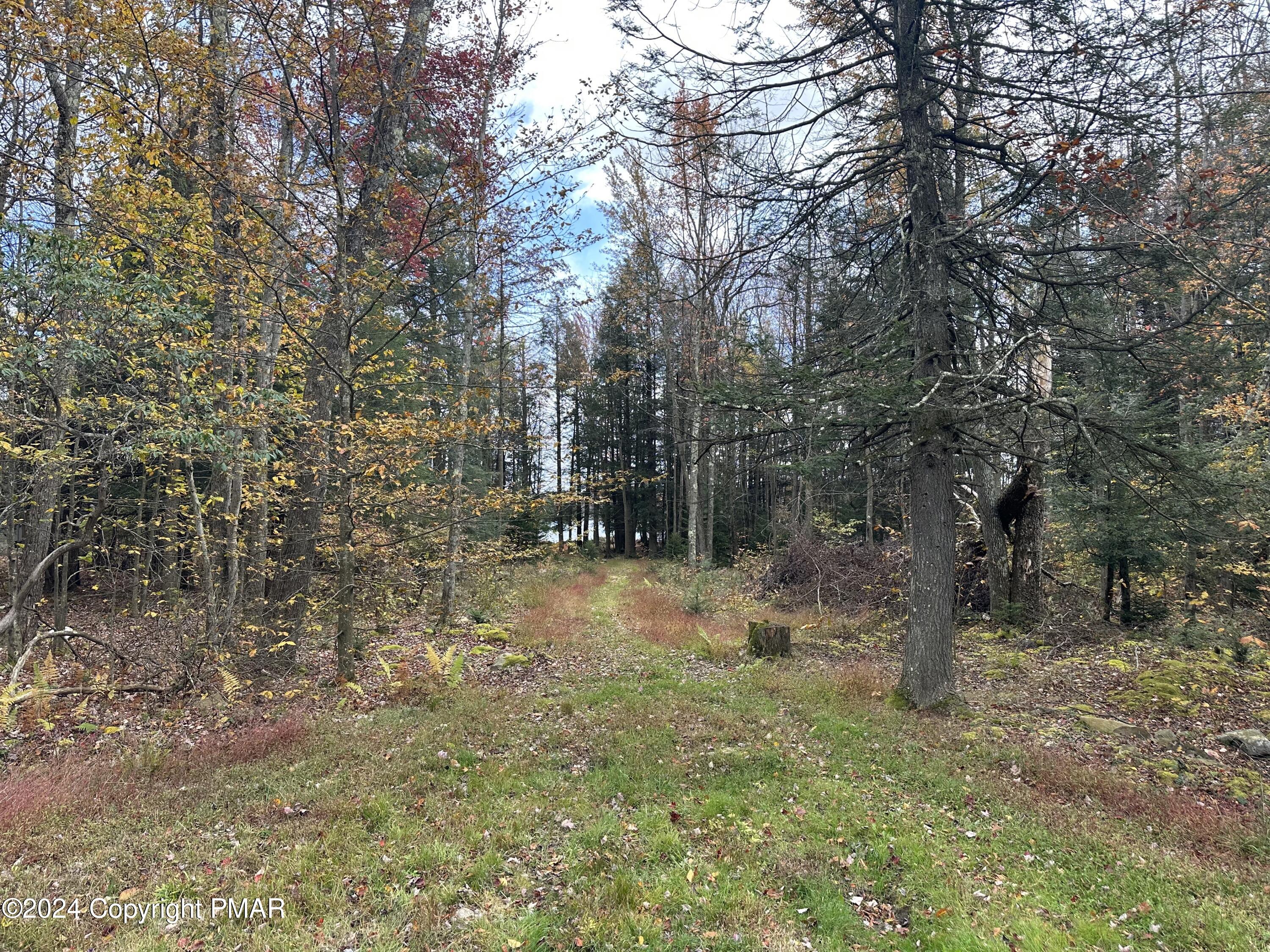 Lot 10 N Estates Drive, Pocono Summit, Pennsylvania image 4