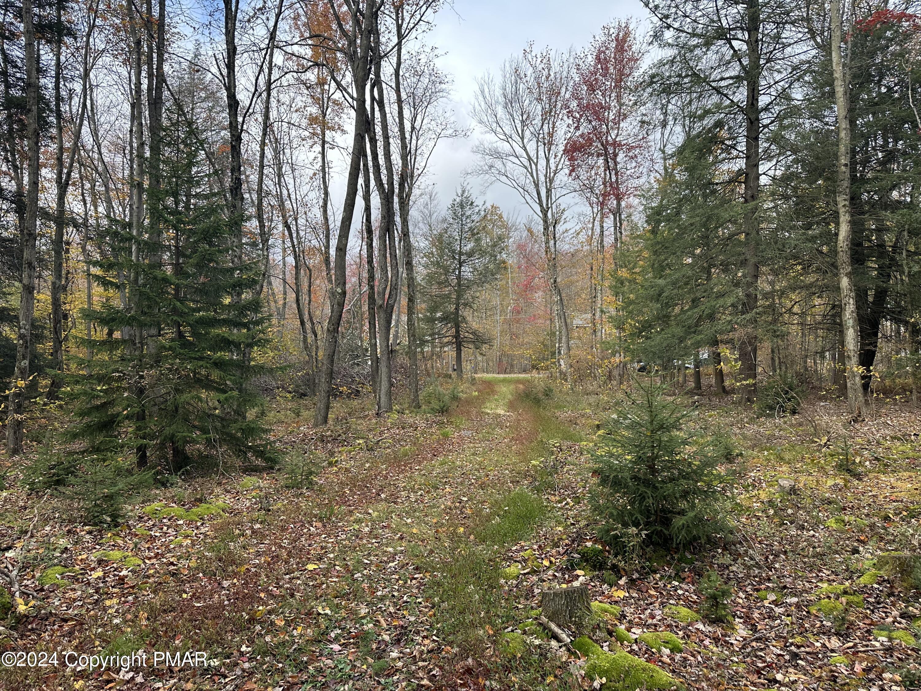 Lot 10 N Estates Drive, Pocono Summit, Pennsylvania image 8