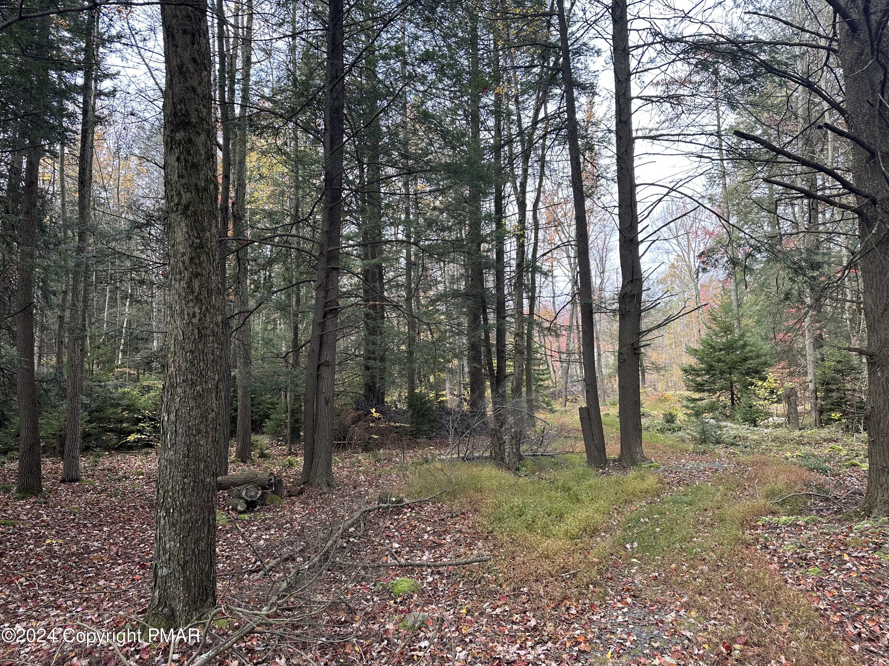 Lot 10 N Estates Drive, Pocono Summit, Pennsylvania image 7