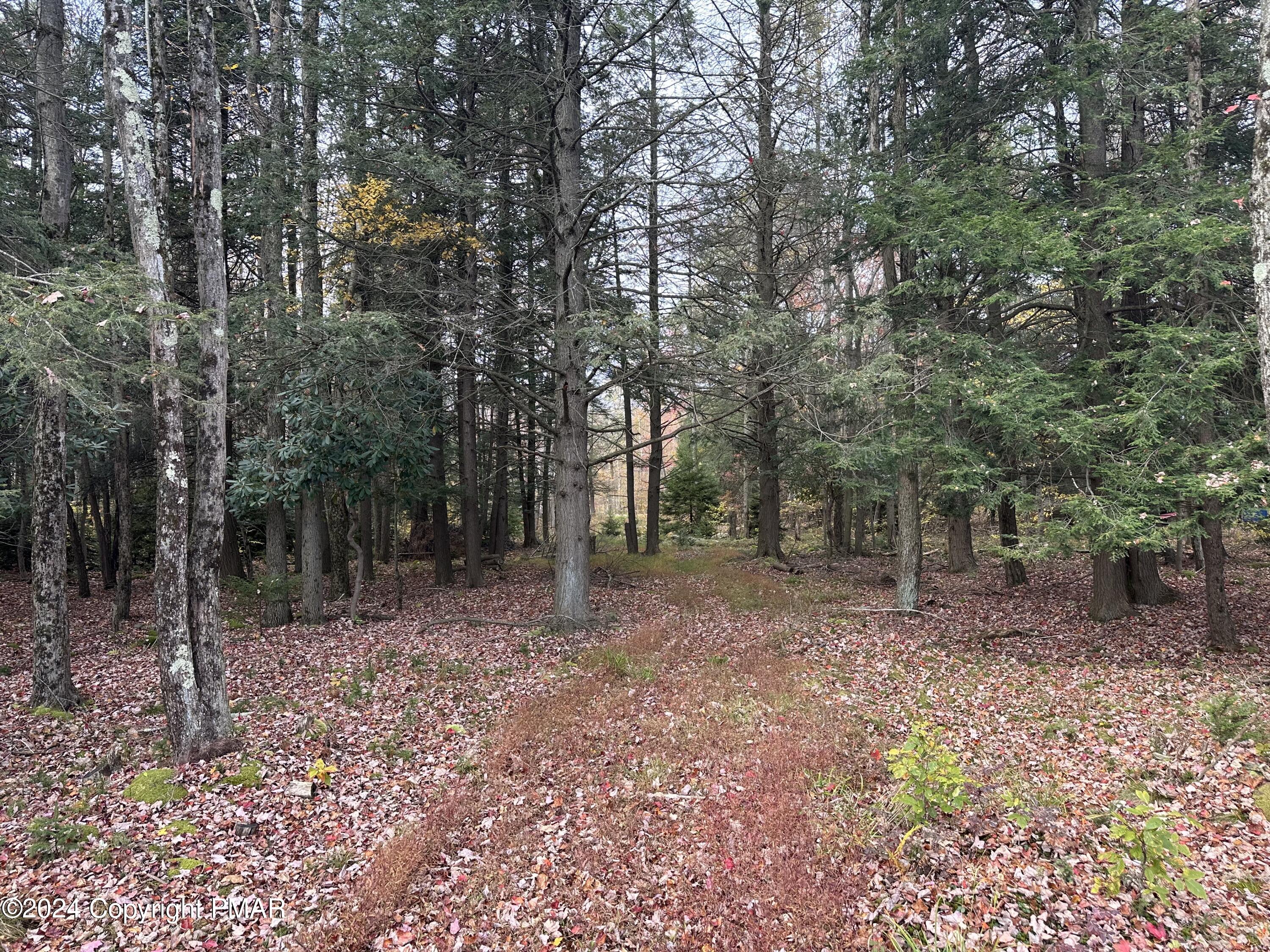 Lot 10 N Estates Drive, Pocono Summit, Pennsylvania image 6