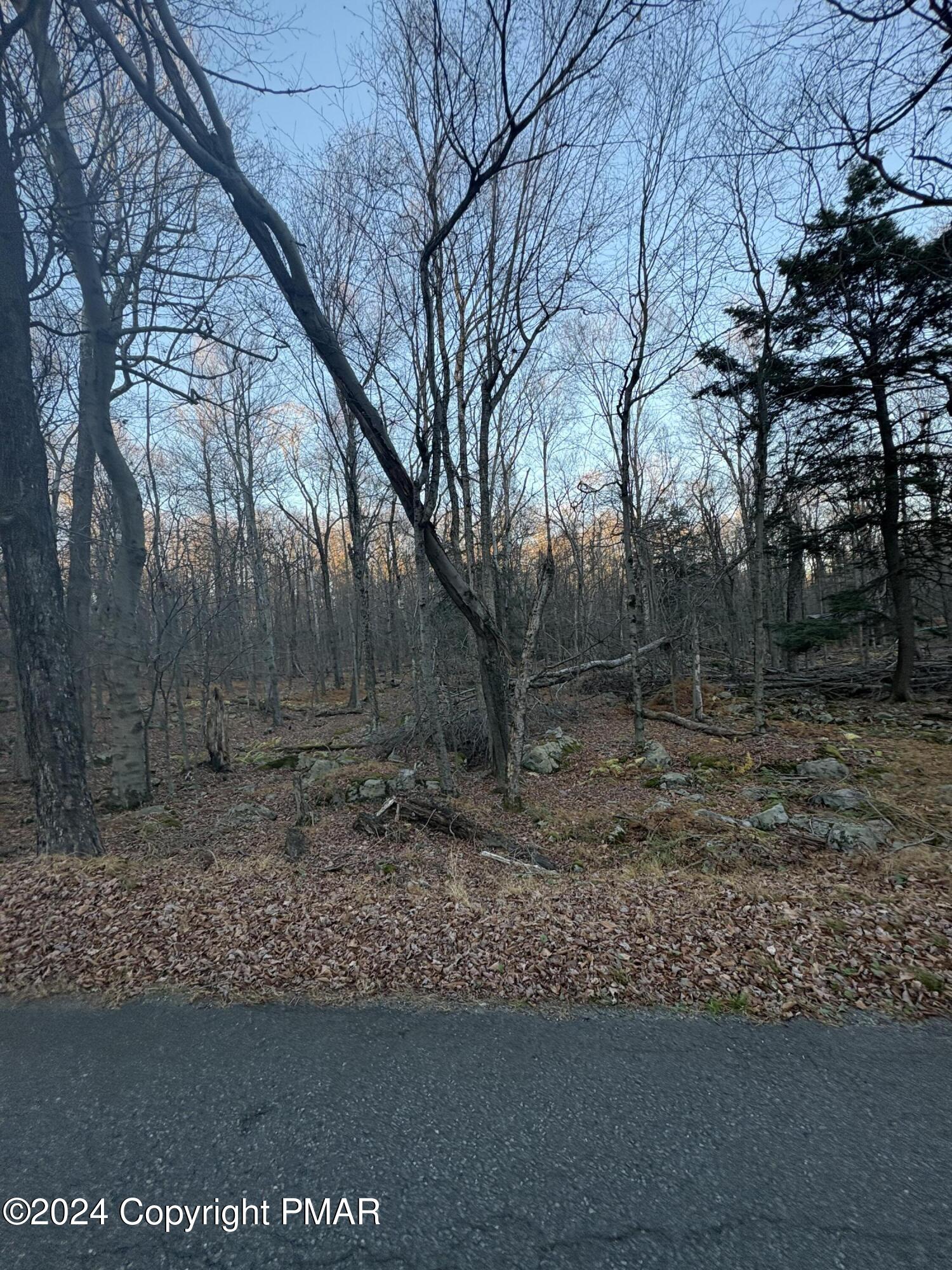 27 Spring Court, Newfoundland, Pennsylvania image 1