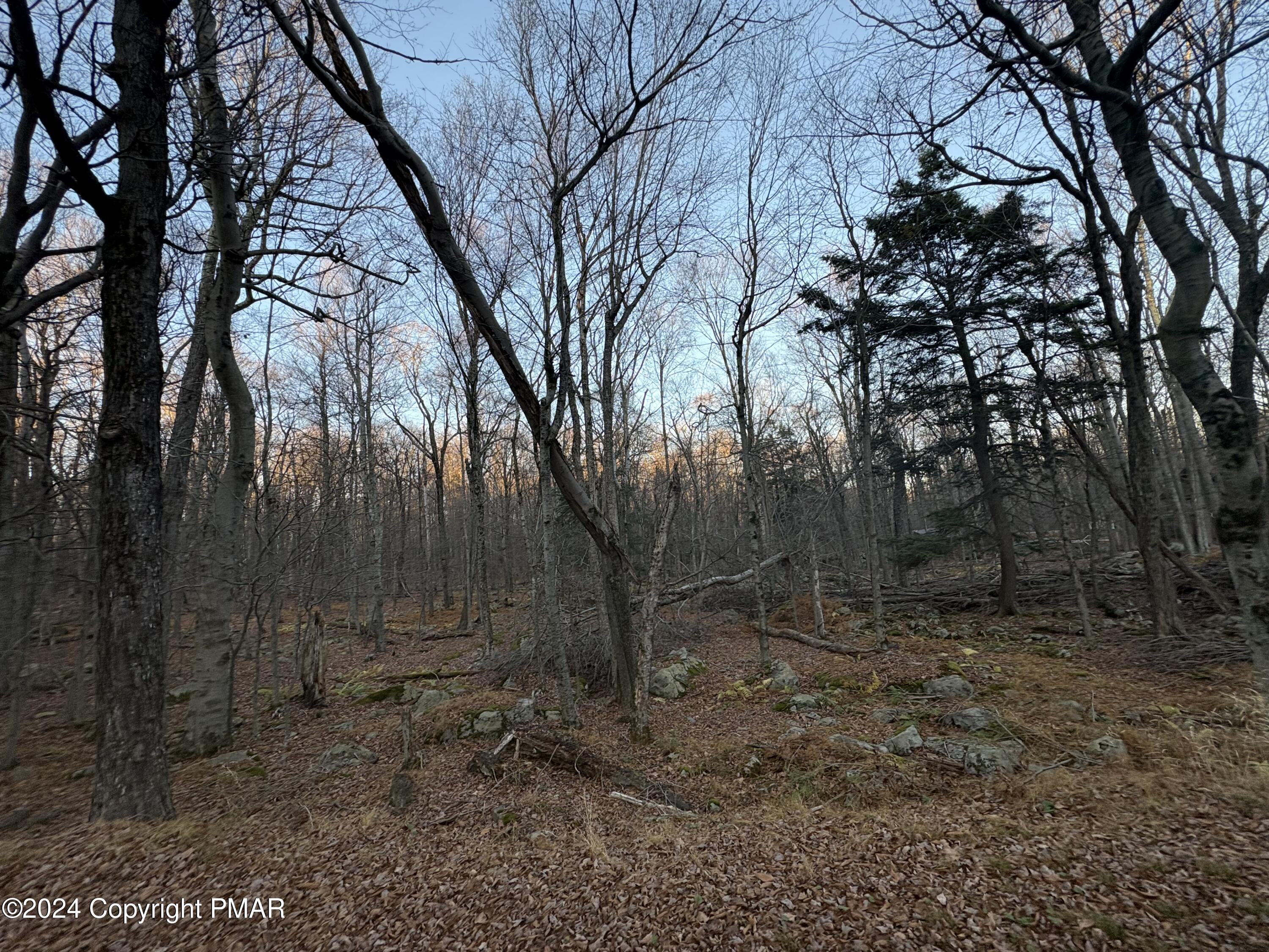 27 Spring Court, Newfoundland, Pennsylvania image 4