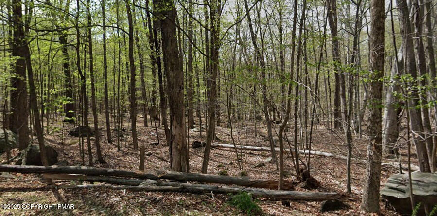 551 Chipmunk Trail