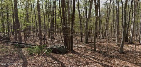 551 Chipmunk Trail Hawley PA 18428
