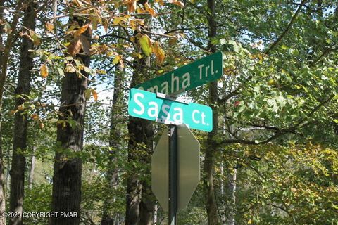 Omaha Trl 21 Pocono Lake PA 18347