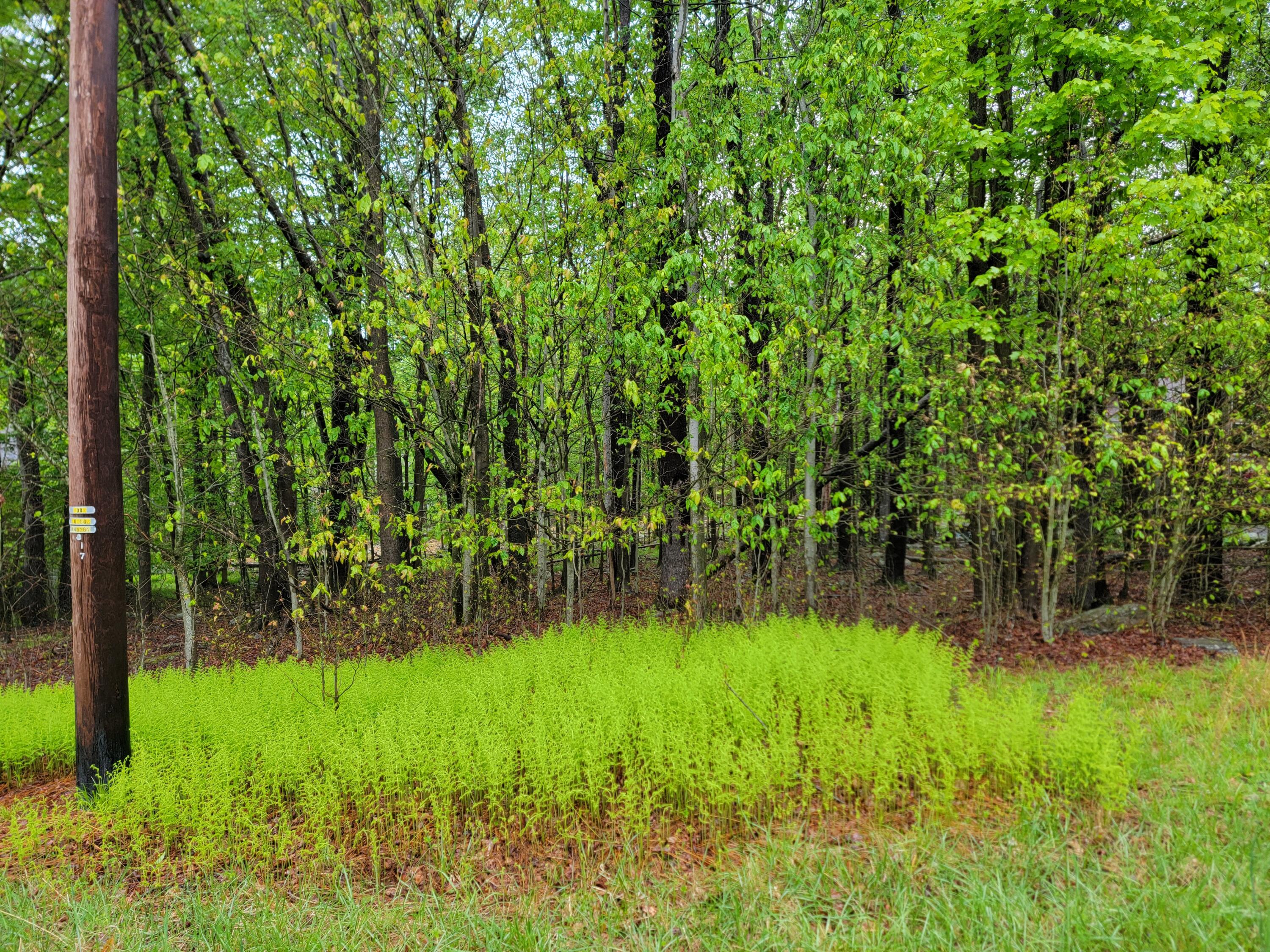 1230 N Lehigh River J Drive