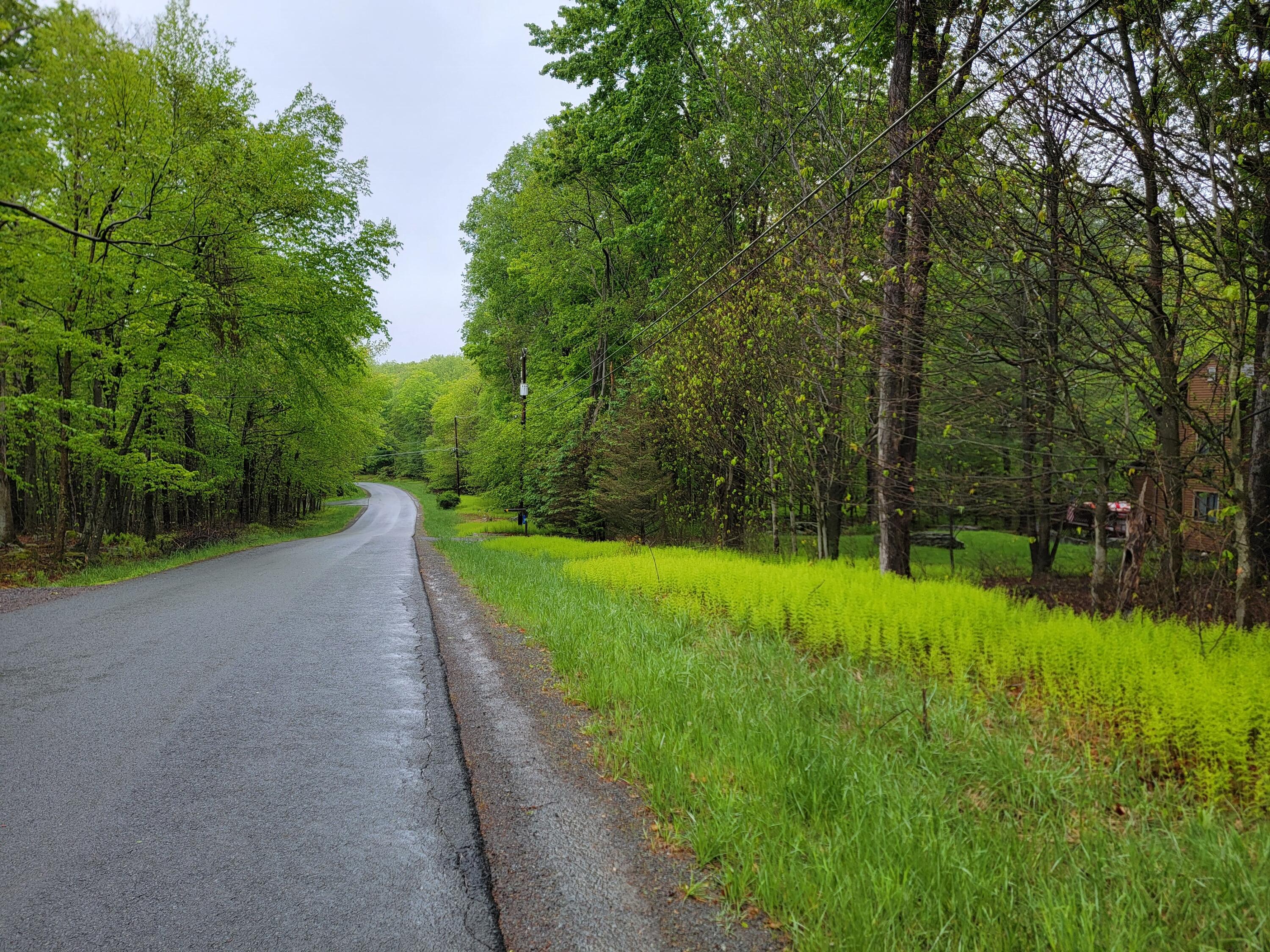 1230 N Lehigh River J Drive