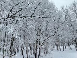 Deerfoot And Pinetree Road, Albrightsville, Pennsylvania image 3