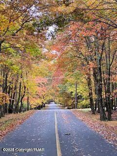 Deerfoot And Pinetree Road, Albrightsville, Pennsylvania image 10
