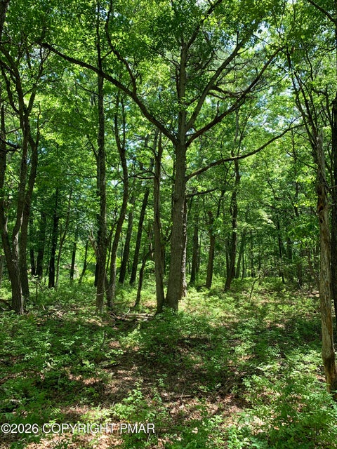 Vacant Land For Sale - Squirrel Road<br/> Pike County, Dingmans Ferry, PA 18328