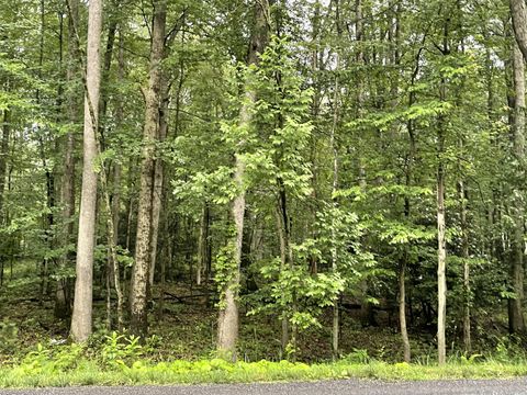 Vacant Land For Sale - 1 Lafayette Avenue<br/> Tamaqua, PA 18252